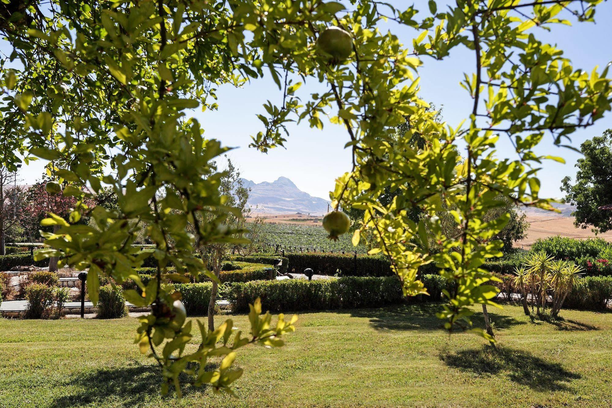 Agriturismo Tenute Pollara Roccamena Exterior foto